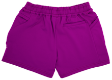 Load image into Gallery viewer, Purple - v4